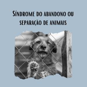 Síndrome do abandono ou separação de animais