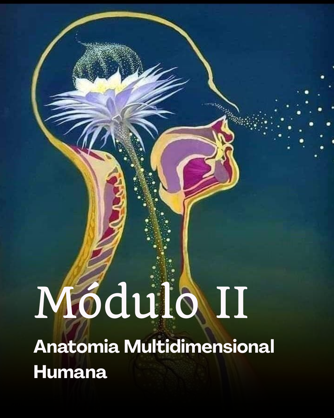 Módulo I (1)