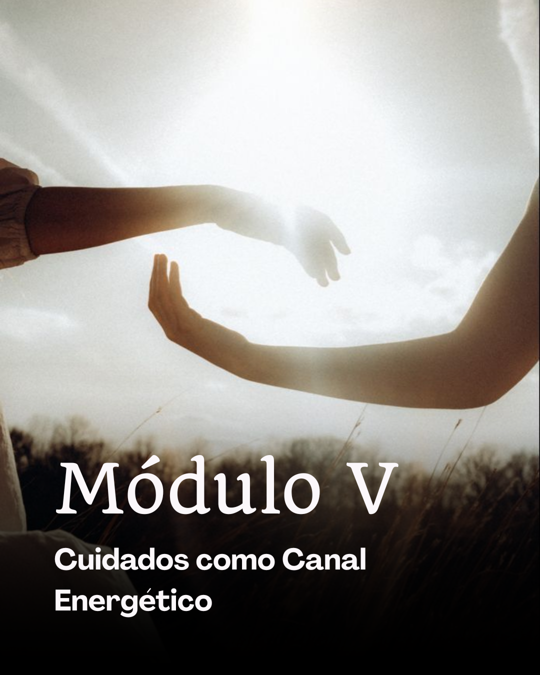 Módulo I (4)