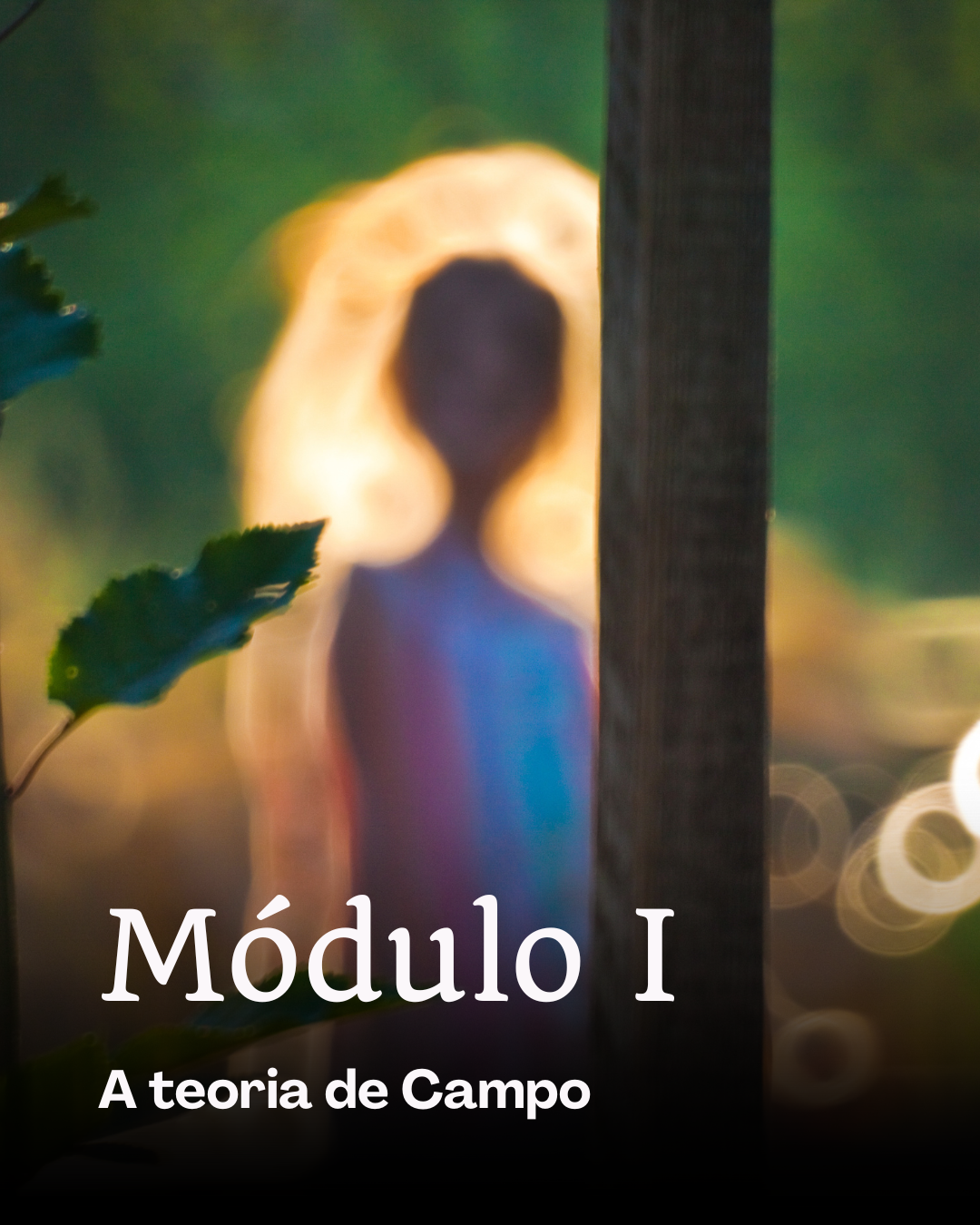 Módulo I